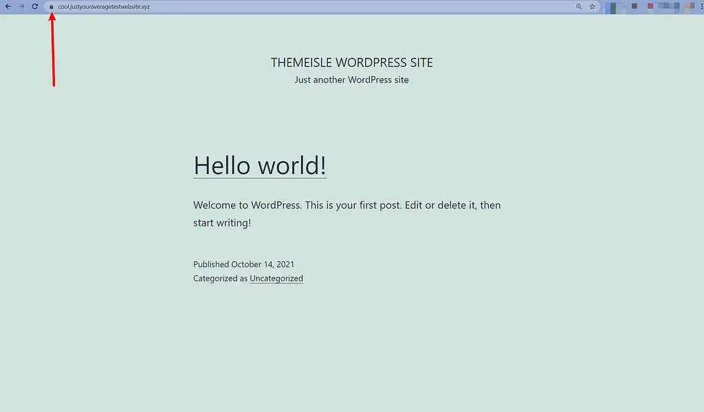 CyberPanelへのWordPressの新規インストール