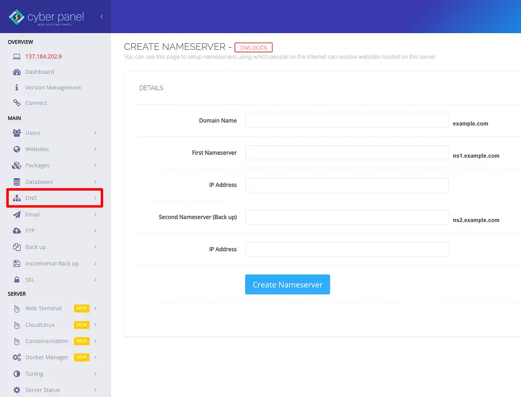 CyberPanelでのDNSの管理