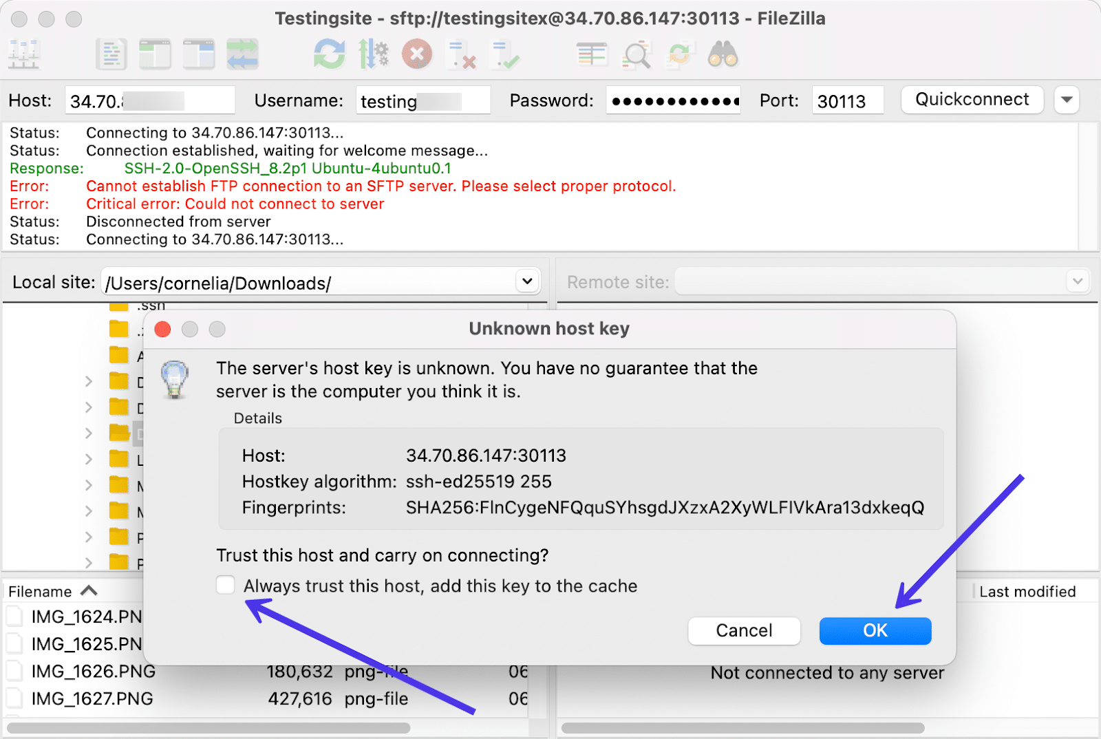 Dígale a FileZilla que confía en el host para el futuro.