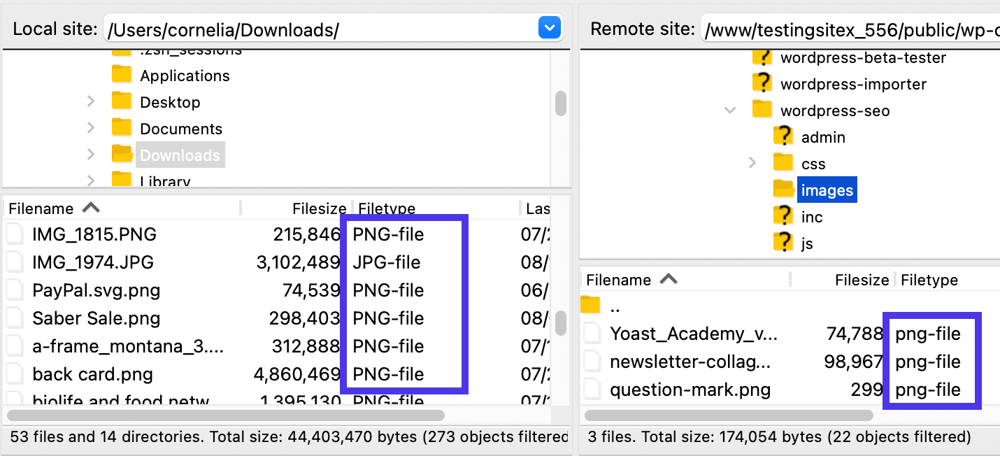 Solo los archivos de imagen aparecen en FileZilla con el filtro activo.