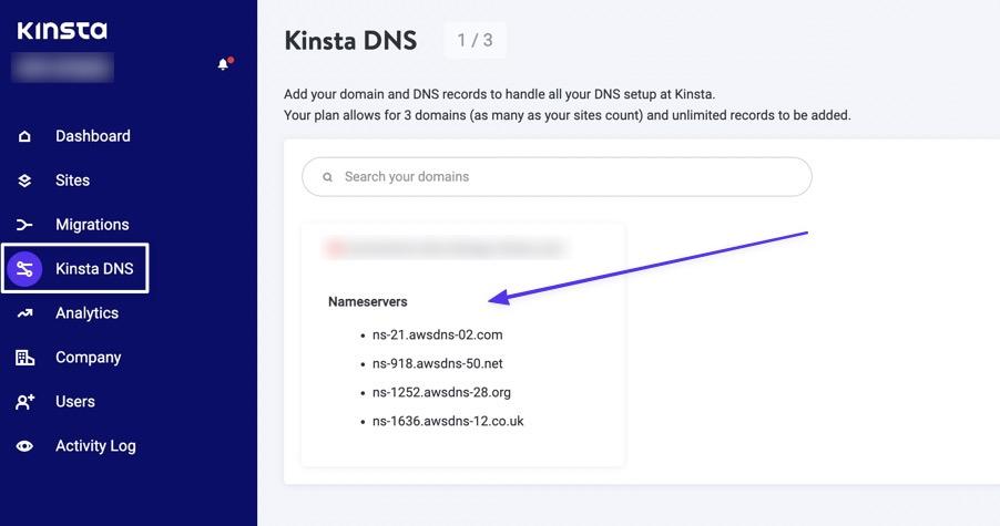 Выберите Kinsta DNS, затем нажмите на доменное имя.