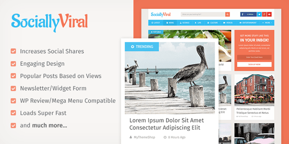 SociallyViral-Theme