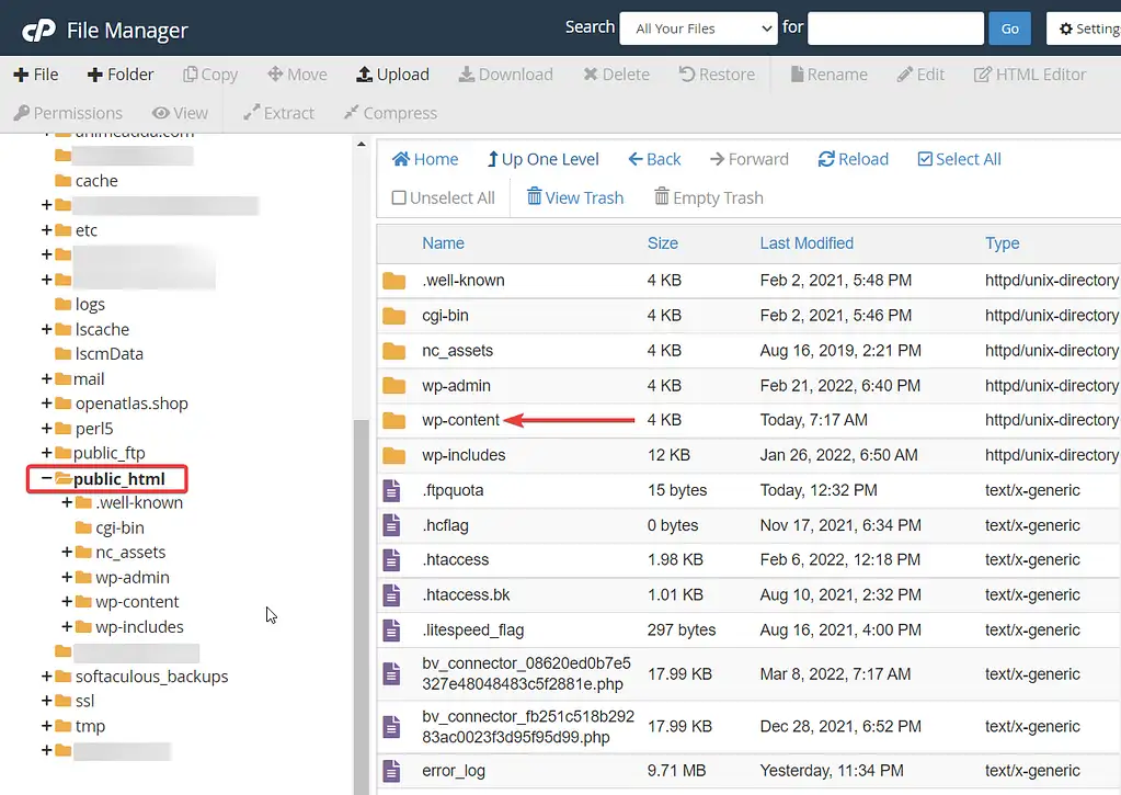 folderul wp-content în managerul de fișiere