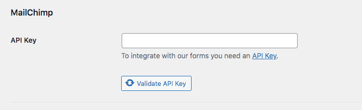 วางคีย์ Mailchimp API ของคุณ