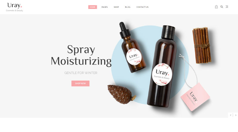 Uray WordPress Theme