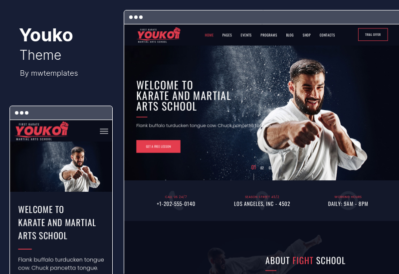 Youko Theme - Тема WordPress о боевых искусствах