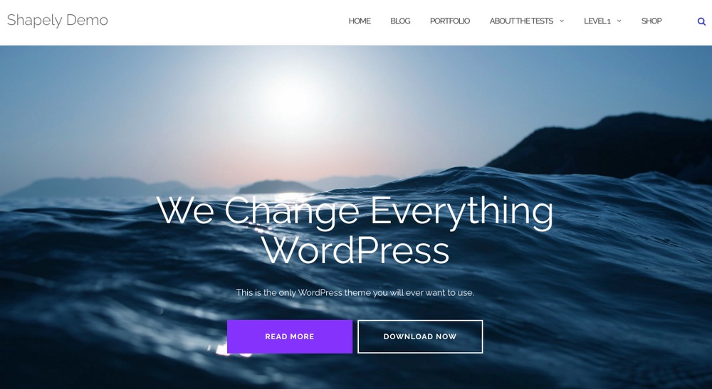 Tema WordPress ben fatto