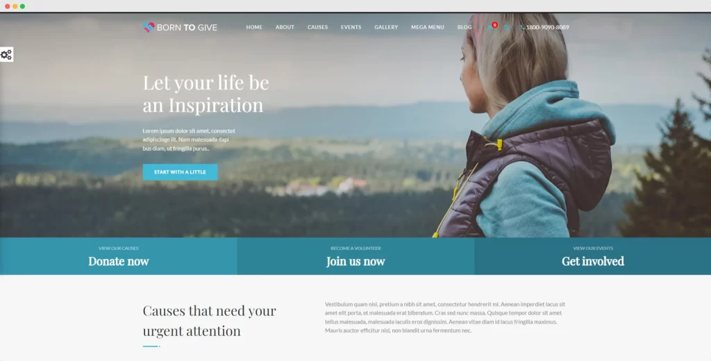 Born To Give - Tema WordPress di beneficenza