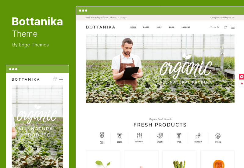 Bottanika Theme - 有機食品商店​​ WordPress 主題