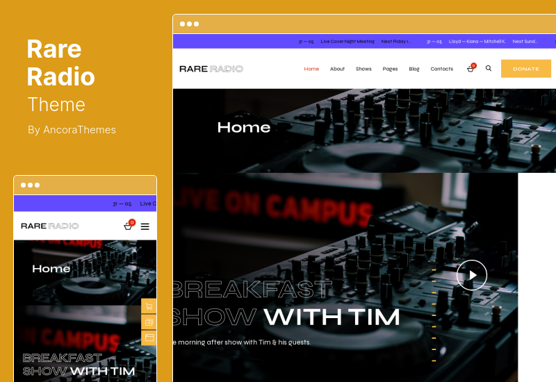 Tema radiofonico raro - Tema WordPress per stazioni radio di musica online e podcast