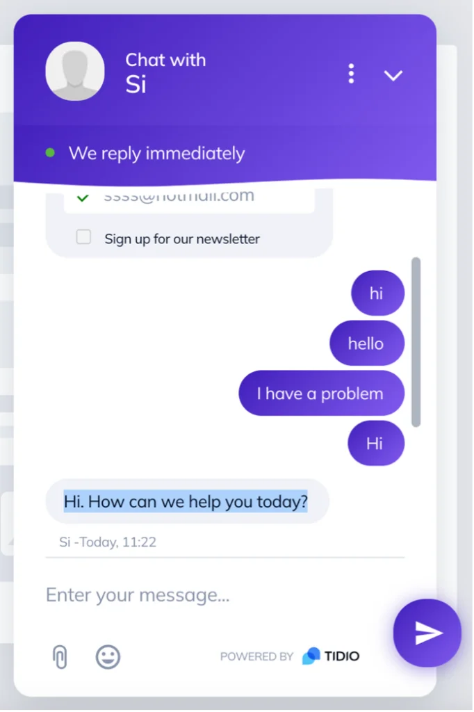 El chat en vivo tal como aparece para el visitante