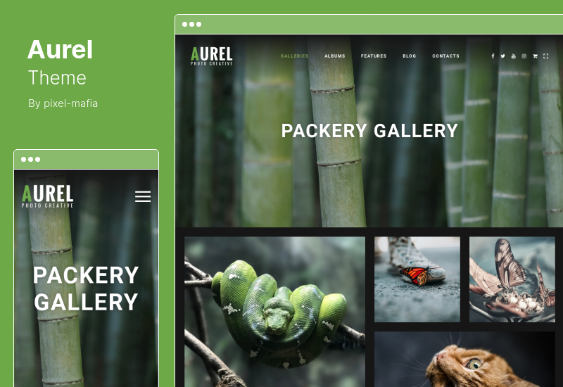 Aurel Theme - Tema de WordPress para fotografía