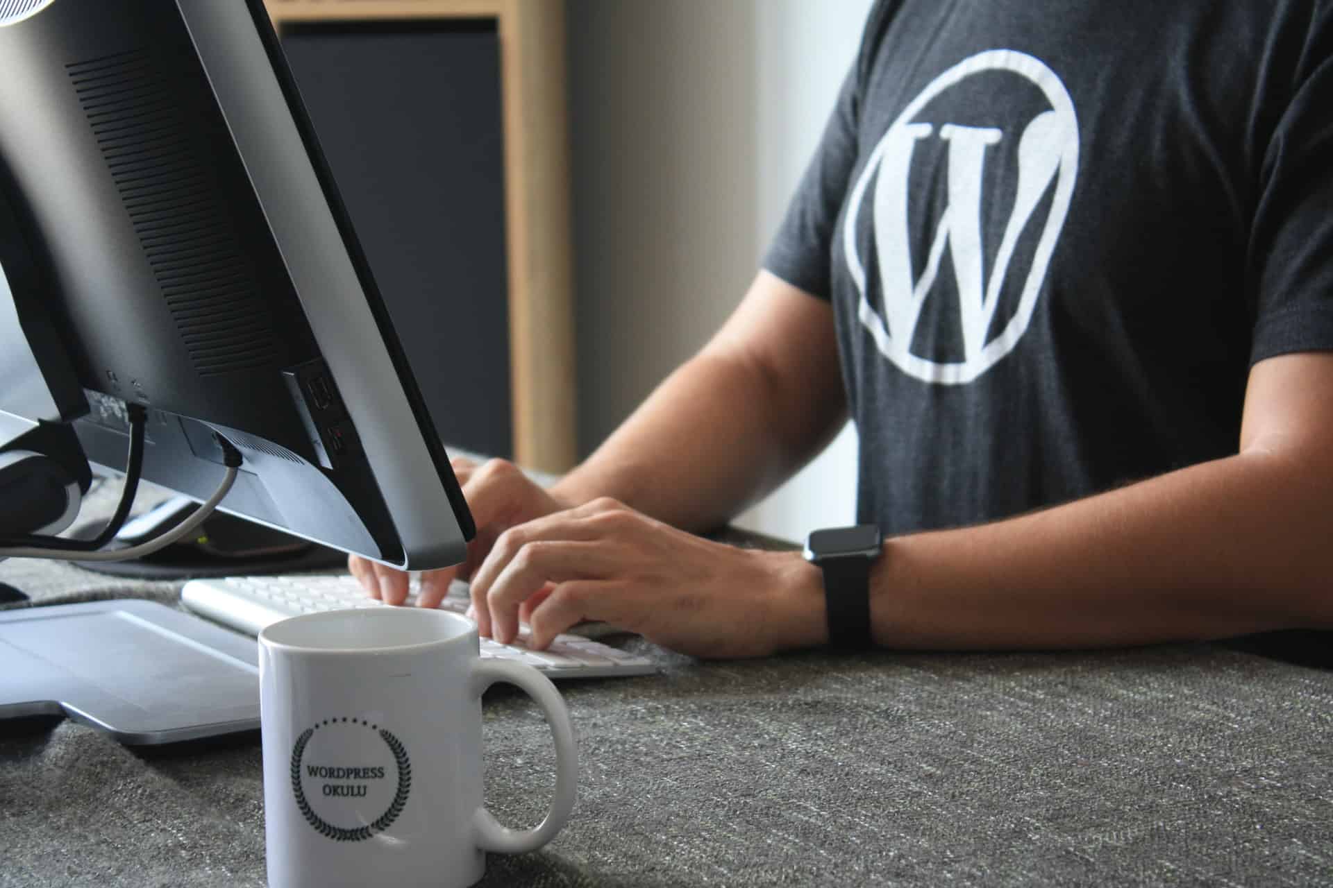 WordPress 衬衫的男人