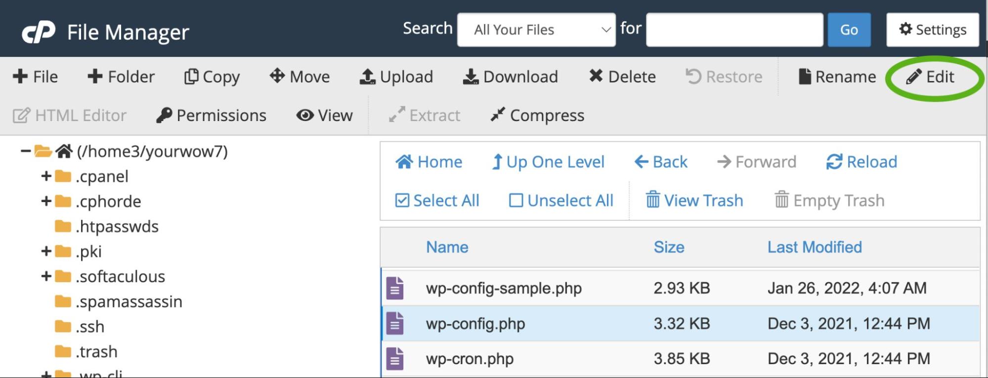 mengedit melalui alat cpanel