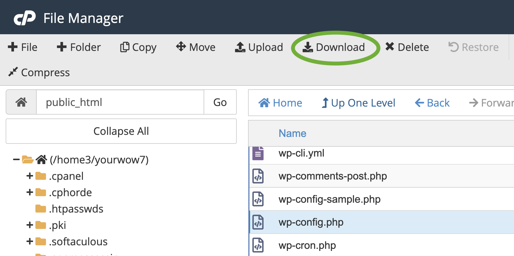 dowloading wp-config.php من cPanel