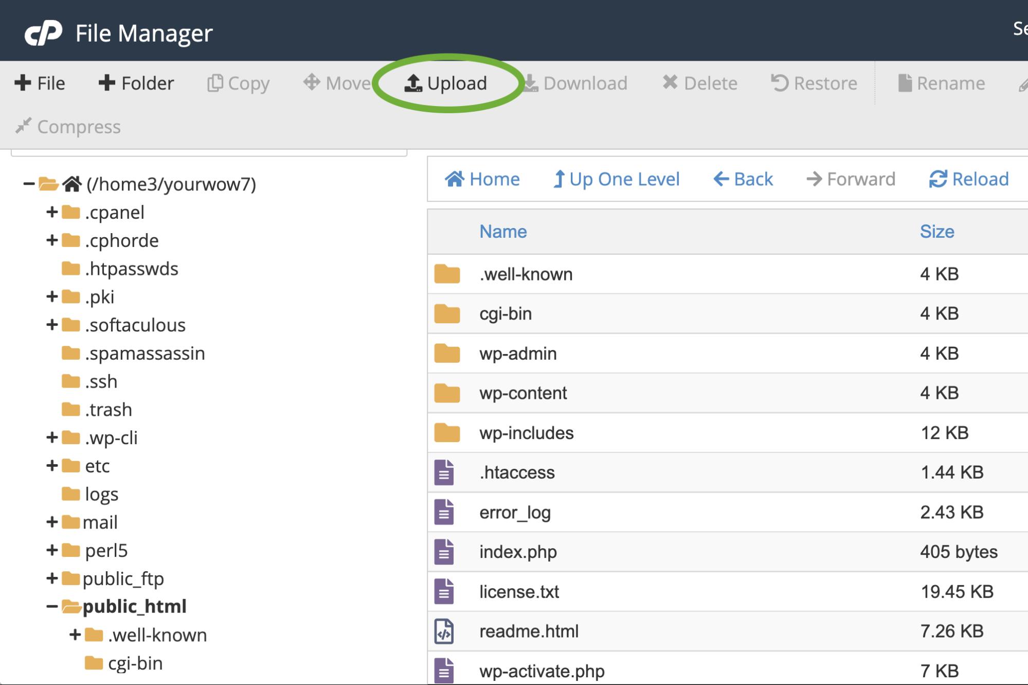 télécharger un fichier via cpanel