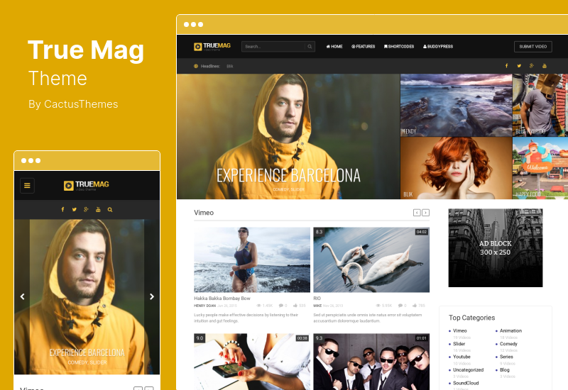 True Mag Theme — тема WordPress для видео и журналов