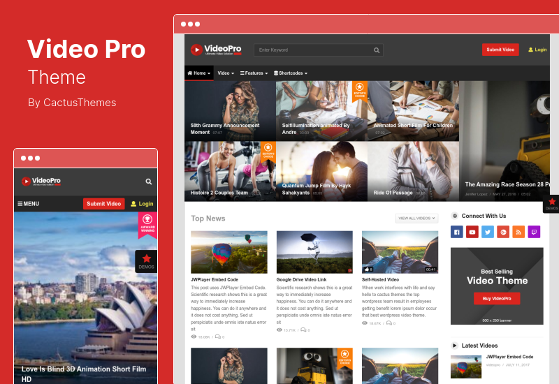 VideoPro-Thema - Video-WordPress-Thema