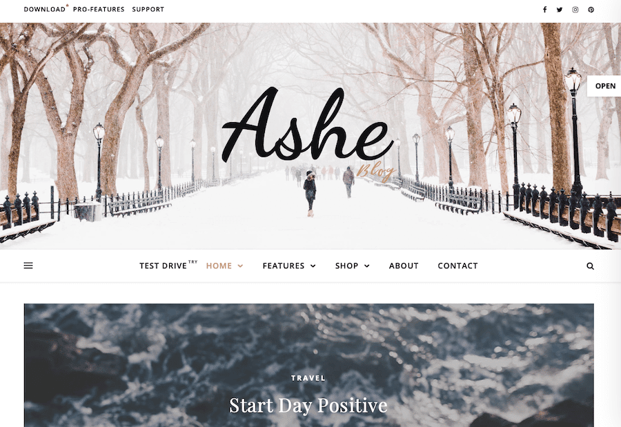 لقطة شاشة لموضوع Ashe WordPress.