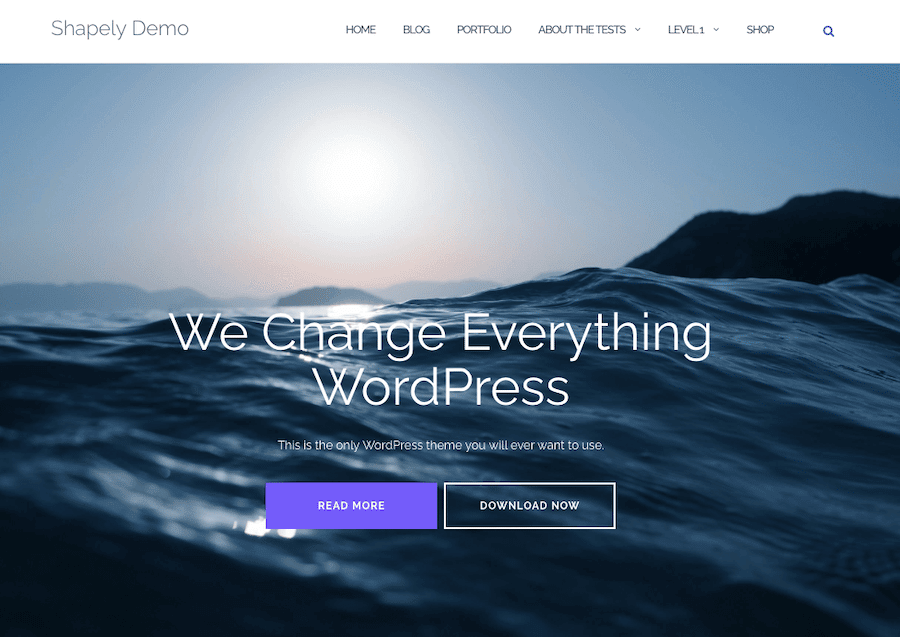 Shapely WordPress 테마의 데모는 영웅 이미지와 명확한 클릭 유도문안을 제공합니다.