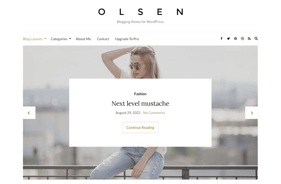 Olsen Light WordPress temasının bir ekran görüntüsü.