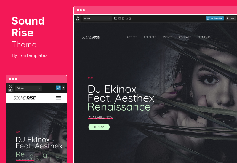 Tema SoundRise - Tema WordPress per artisti, produttori ed etichette discografiche