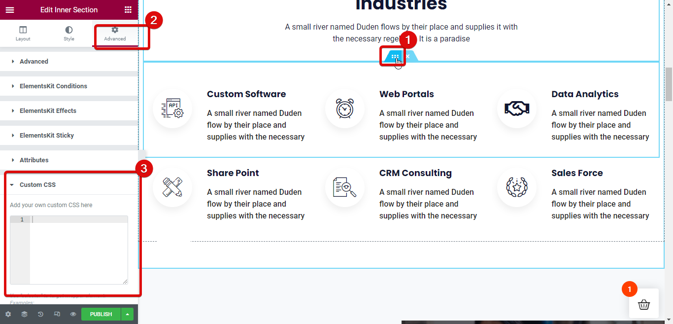 tambahkan css khusus di bagian dalam Elementor