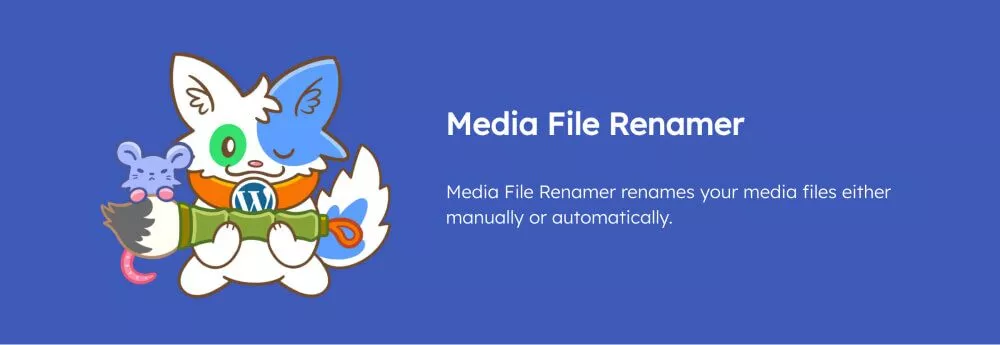 البرنامج المساعد Media File Renamer.