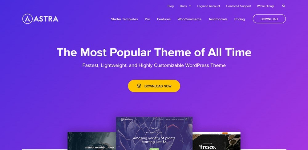 Astra beste Filmkritik WordPress-Theme