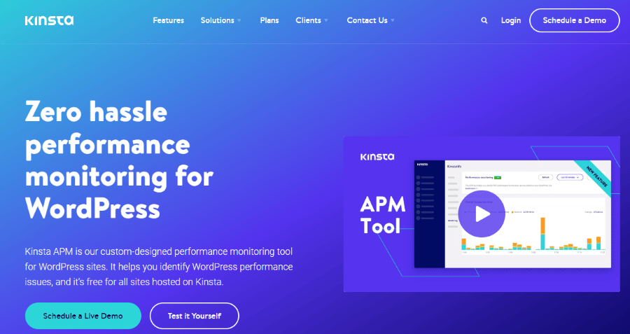 Halaman web Kinsta APM