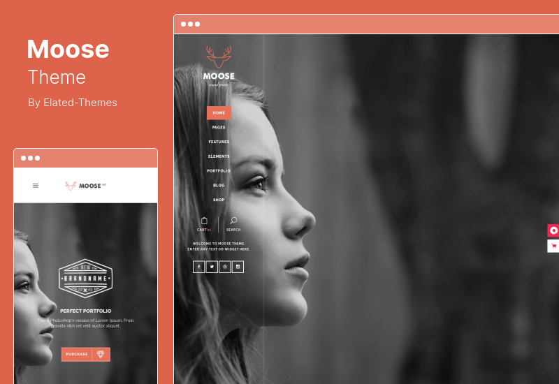 Moose Theme - Tema creativo multipropósito de WordPress