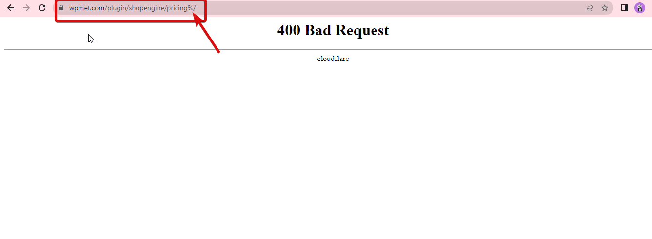 Elementor 中带有 % server error 400 bad request 的错误 url