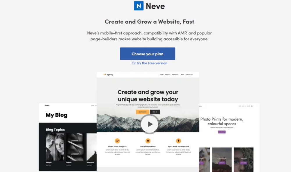 Neve Theme offizielle Homepage der Website