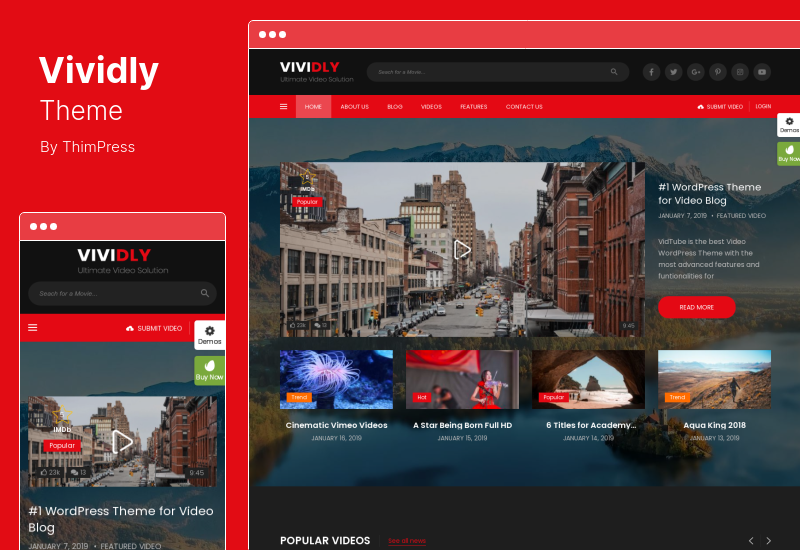 Tema Vividly - Tema WordPress para blog de vídeo