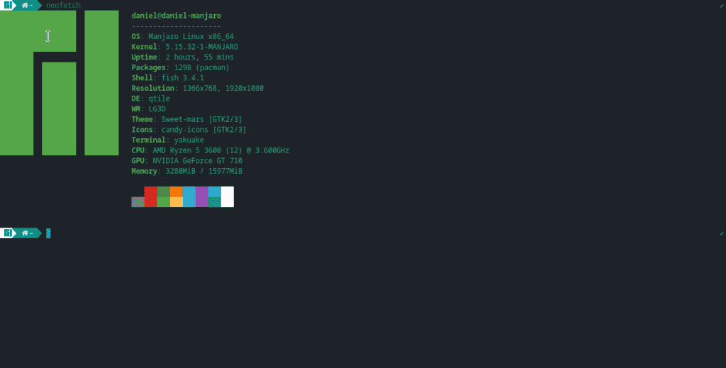 Manjaro Linux CLI montrant l'état du système.