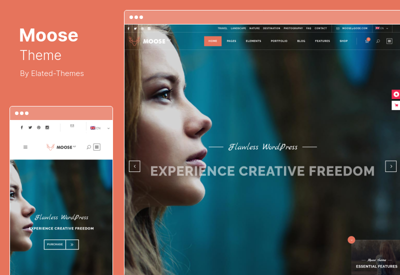 Moose Theme - Kreatives Mehrzweck-WordPress-Theme