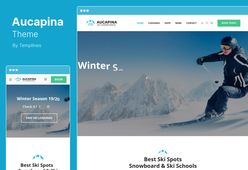 Aucapina Theme – Wohnmobil- und Wohnmobilvermietung WordPress Theme