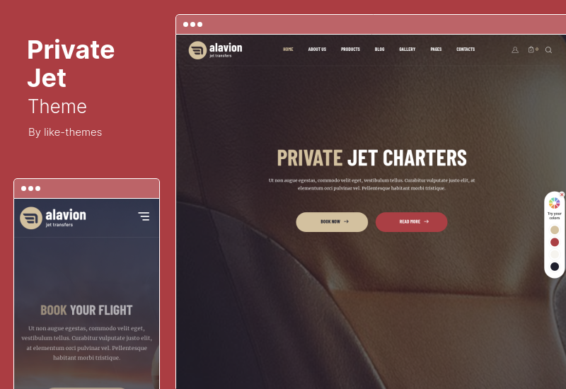 Private Jet Theme - Тема WordPress для чартеров частных самолетов