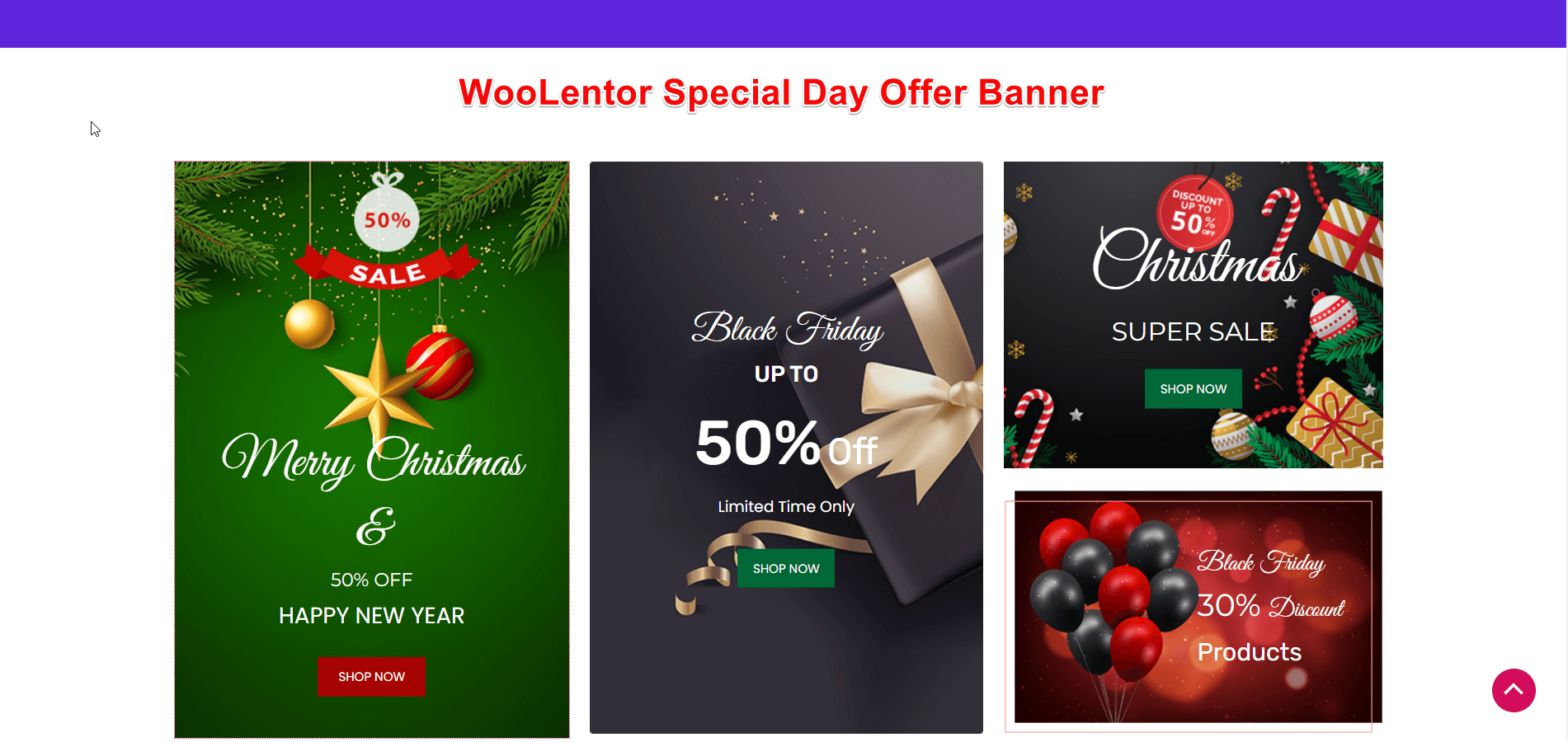 WooLentor WooCommerce 빌더 특별 행사