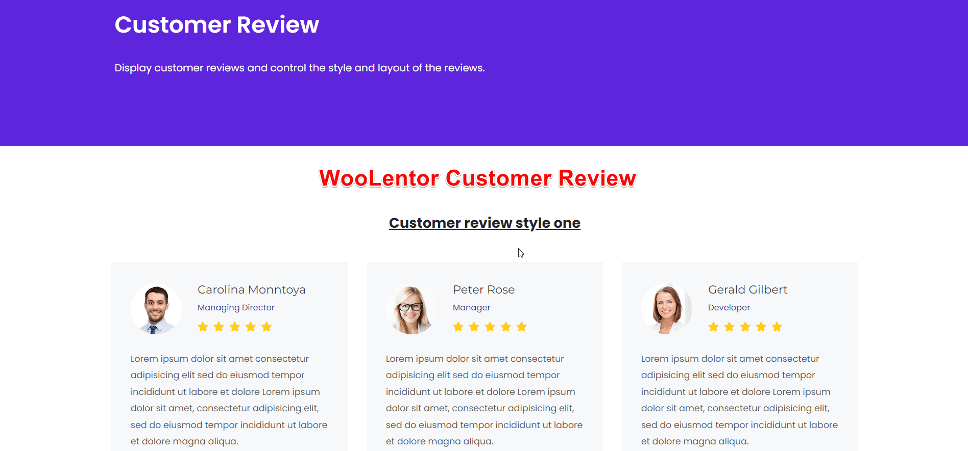 Evaluarea clientului WooLentor WooCommerce builder