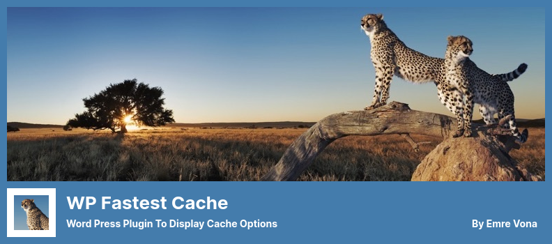 Plugin WP Fastest Cache - Plugin Word Press pour afficher les options de cache