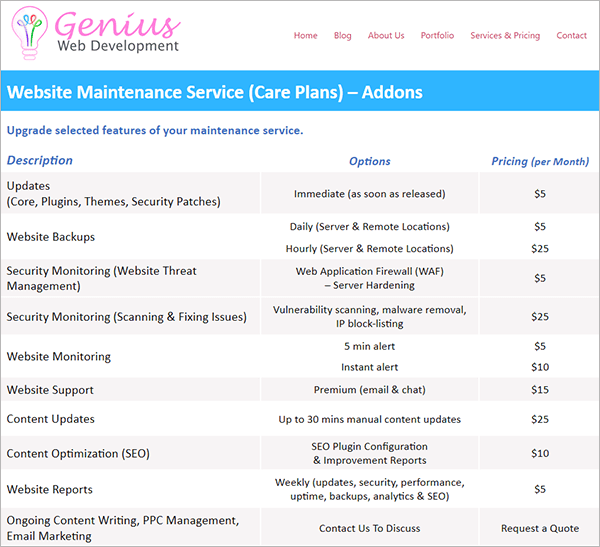 Services de maintenance de site Web