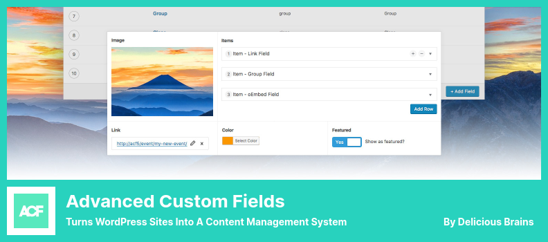 Advanced Custom Fields Plugin - WordPress サイトをコンテンツ管理システムに変える