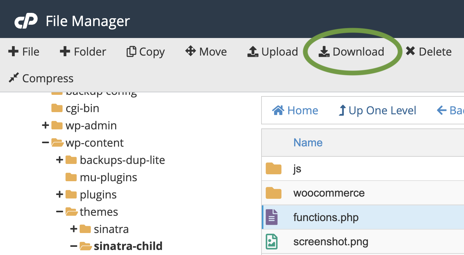 cpanel から functions.php ファイルをダウンロードする