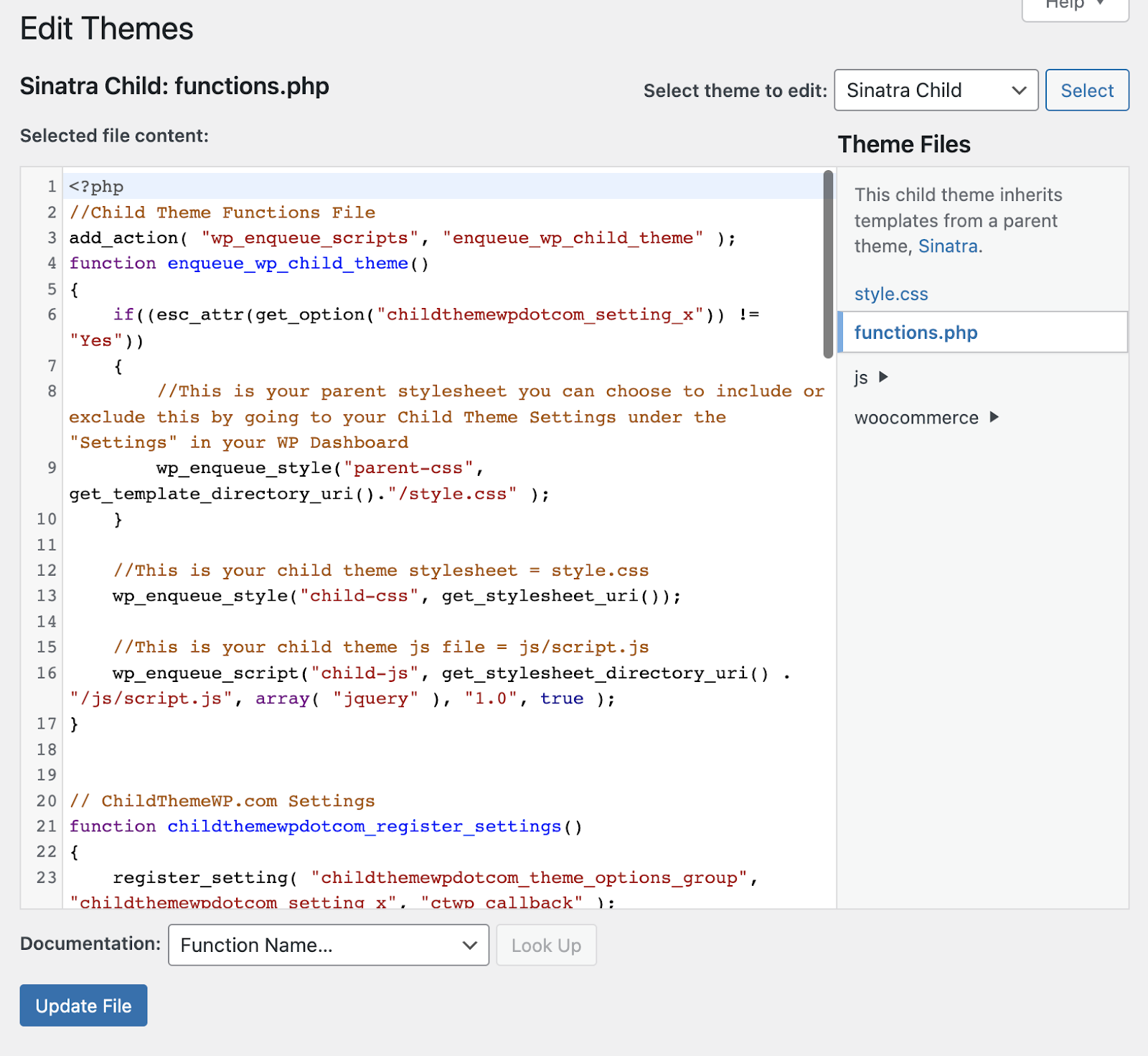 édition du fichier functions.php dans l'éditeur de fichier de thème