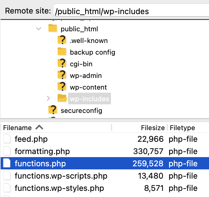 在 wp-includes 中找到 functions.php 文件