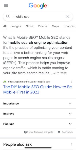 mobile SEO-Server