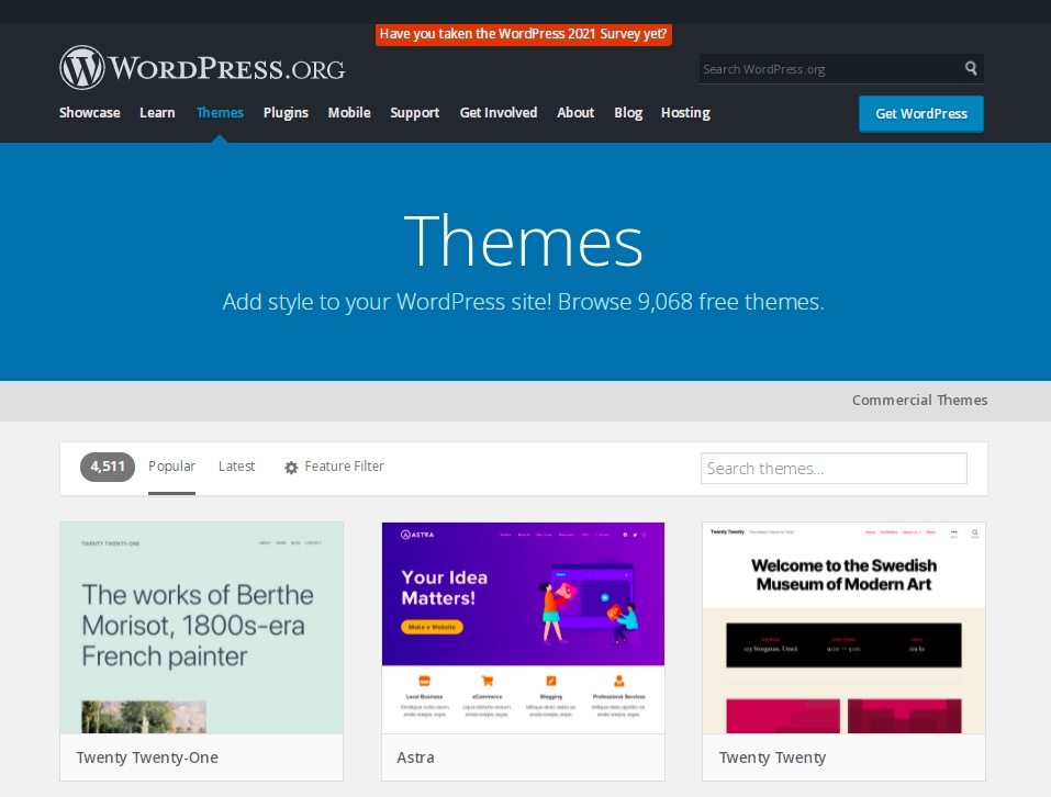 Page des thèmes WordPress