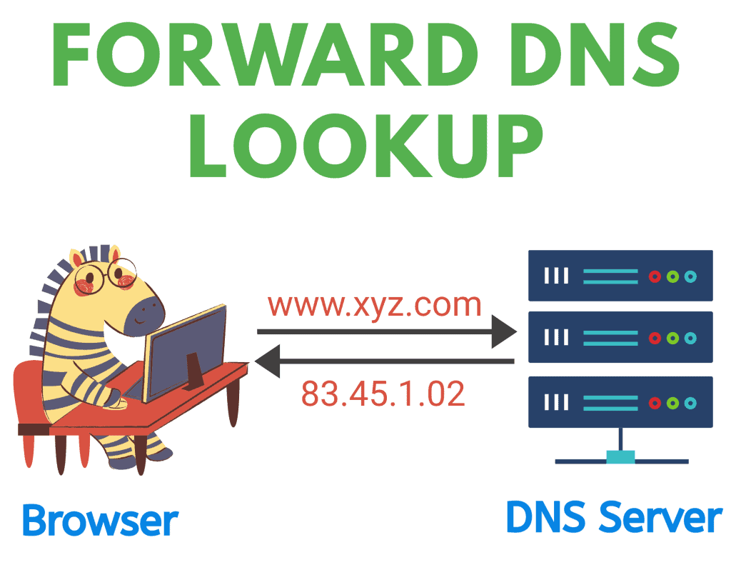 正向 DNS 查找