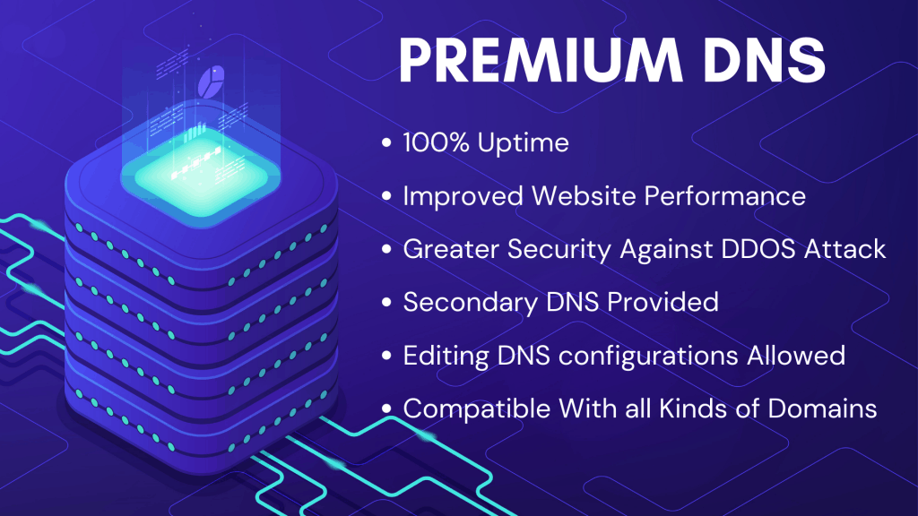 12. Premium-DNS